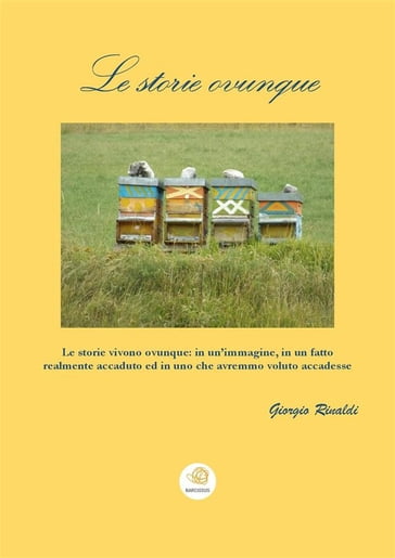 Le storie ovunque - Giorgio Rinaldi