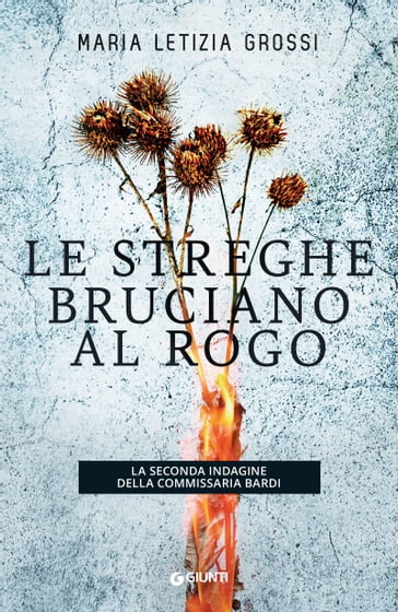 Le streghe bruciano al rogo - Maria Letizia Grossi