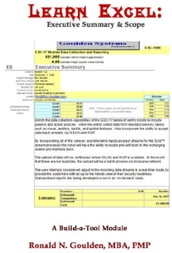 Learn Excel: Executive Summary & Scope