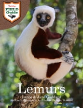 Lemurs