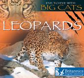 Leopards