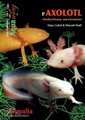 Les axolotls