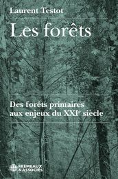 Les forêts. Des forêts primaires aux enjeux du XXIe siècle