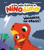 Les petites histoires de Nino Dino - Waaaargh, un orage!