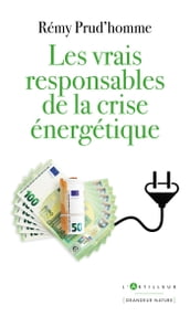 Les vrais responsables de la crise énergétique