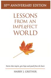 Lessons from an Imperfect World