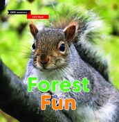 Let s Read: Forest Fun