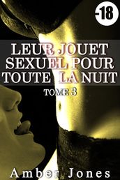 Leur Jouet Sexuel Pour Toute La Nuit (Tome 3)