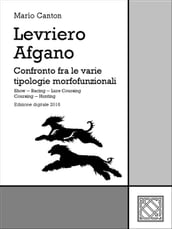 Levriero Afgano - Afghan Hound