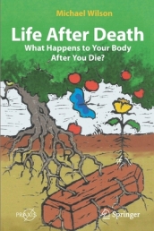 Life After Death: What Happens to Your Body After You Die?