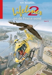 Lifeliner 2 en de Friese eend