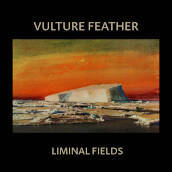 Liminal fields (bone vinyl)