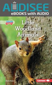 Little Woodland Animals