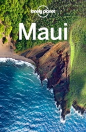 Lonely Planet Maui