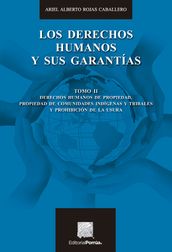 Los derechos humanos y sus garantías : Tomo II