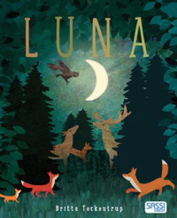 Luna. Ediz. a colori - Britta Teckentrup