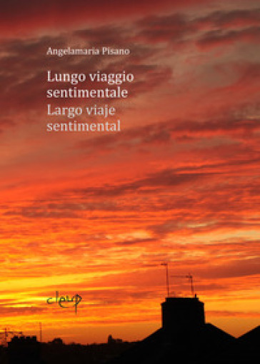 Lungo viaggio sentimentale-Largo viaje sentimental. Ediz. bilingue - Angelamaria Pisano