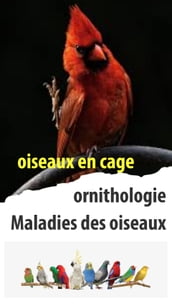 MALADIES DES OISEAUX ET TRAITEMENT