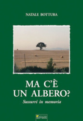 Ma c è un albero?