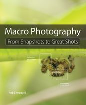 Macro Photography