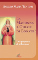 La Madonna a Ghiaie di Bonate? Una proposta di riflessione