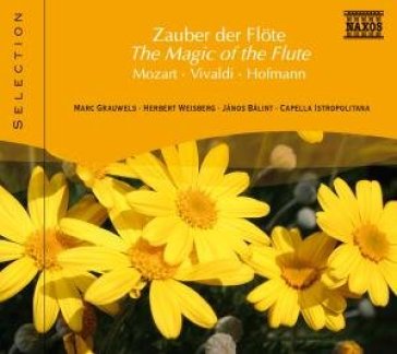 Magic of the flute - AA.VV. Artisti Vari