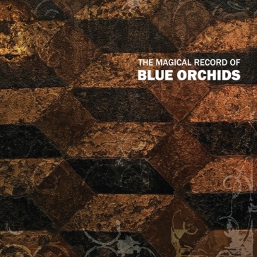 Magical record of blue orchids - The Blue Orchids