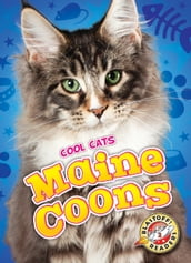 Maine Coons