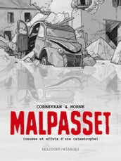 Malpasset (Causes et effets d une catastrophe)