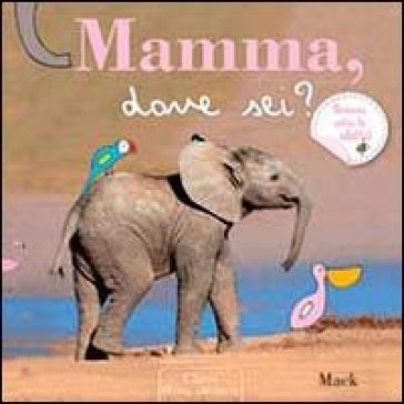 Mamma, dove sei? - Mack