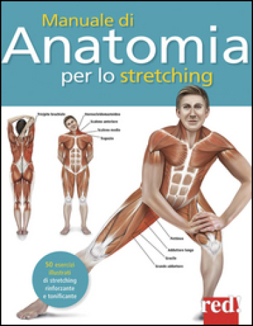 Manuale di anatomia per lo stretching. 50 esercizi illustrati di stretching, rinforzante e tonificante - Ken Ashwell