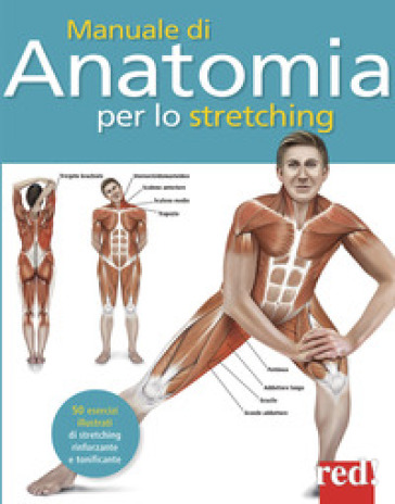 Manuale di anatomia per lo stretching. 50 esercizi illustrati di stretching, rinforzante e tonificante - Ken Ashwell