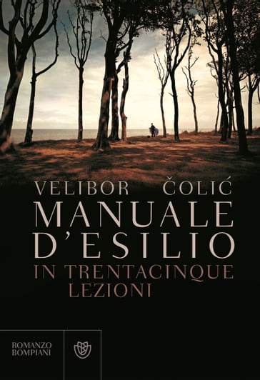 Manuale d'esilio - Velibor Colic