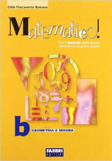 Matematico! Volume B. Per le Scuole superiori - Gilda Flaccavento Romano