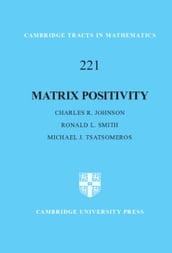 Matrix Positivity