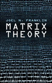 Matrix Theory