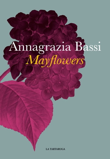 Mayflowers - Annagrazia Bassi