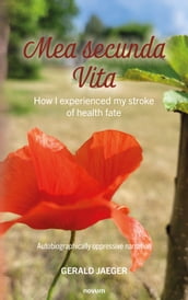 Mea secunda Vita - How I experienced my stroke of health fate