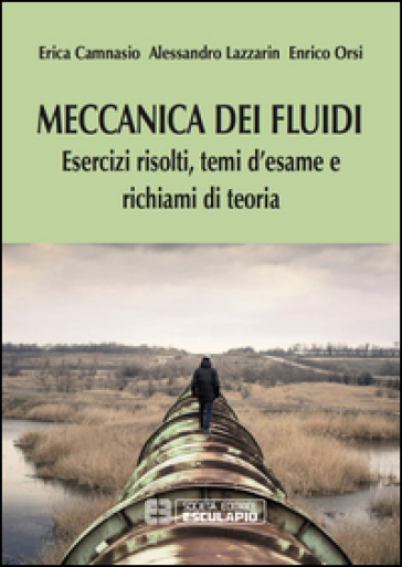 Meccanica dei fluidi. Esercizi risolti, temi d'esame e richiami di teoria - Erica Camnasio - Alessandro Lazzarin - Enrico Orsi
