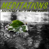 Meditations Beethoven No. 3 in the Woods