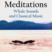 Meditations Whale Sounds and Classical Music