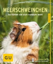 Meerschweinchen