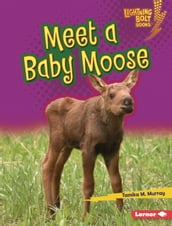 Meet a Baby Moose