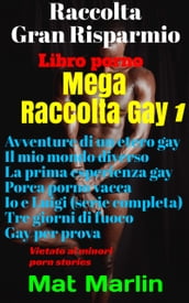 Mega raccolta gay