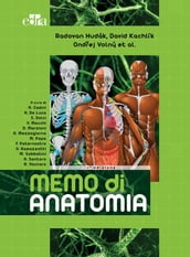 Memo di Anatomia