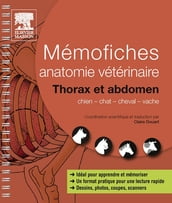 Mémofiches anatomie vétérinaire - Thorax et abdomen