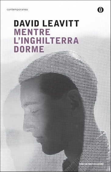 Mentre l'Inghilterra dorme - David Leavitt