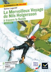 Le Merveilleux Voyage de Nils Holgersson à travers la Suède