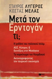 Meta ton Erdogan ti? (Greek edition)
