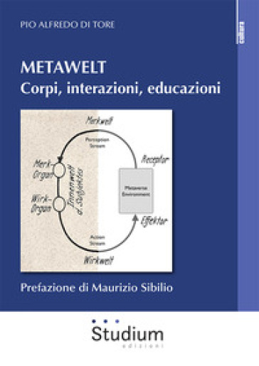 Metawelt. Corpi, interazioni, educazioni - Pio Alfredo Di Tore